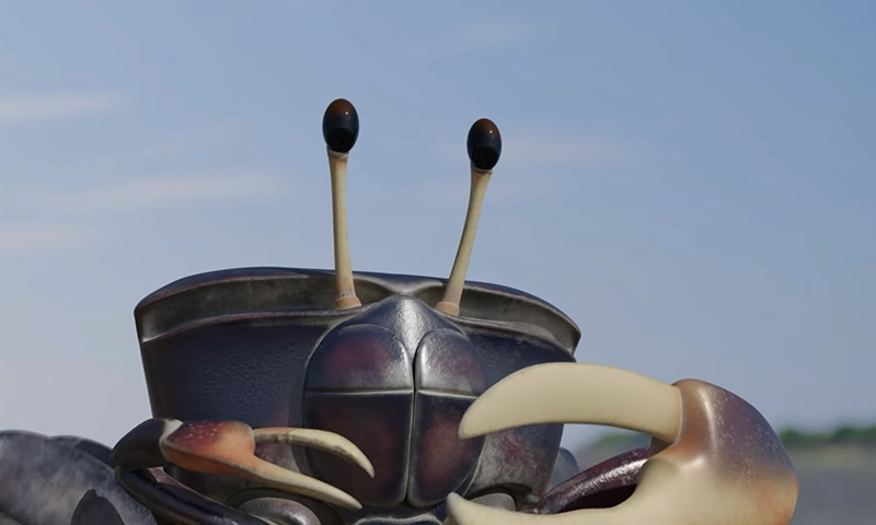3D CGI動畫《潮生之蟹》作品